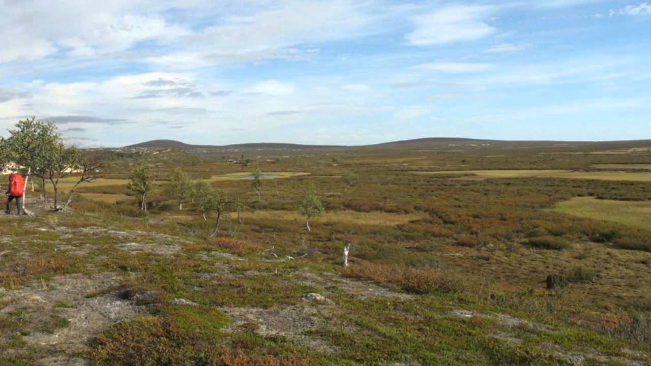 Vaellus Pöyrisjärven Erämaa-alueella 2011, Osa 1