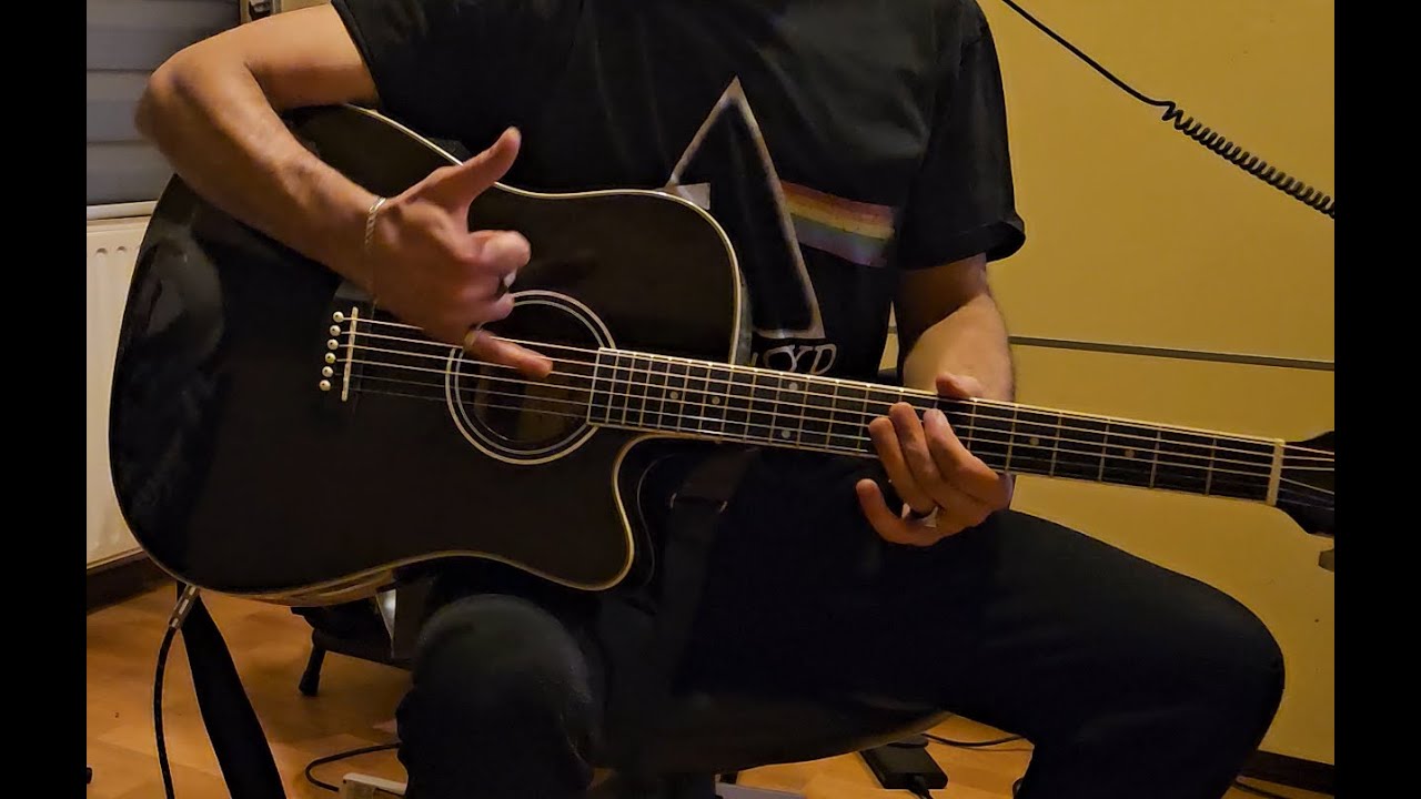 Metallica - To Live is to Die (D standard)