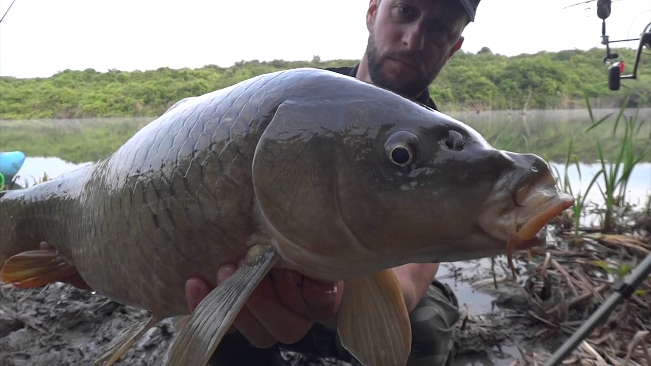 Extreme wild carp fishing by Jovan Ivosevic - M BAITS INTERNATIONAL