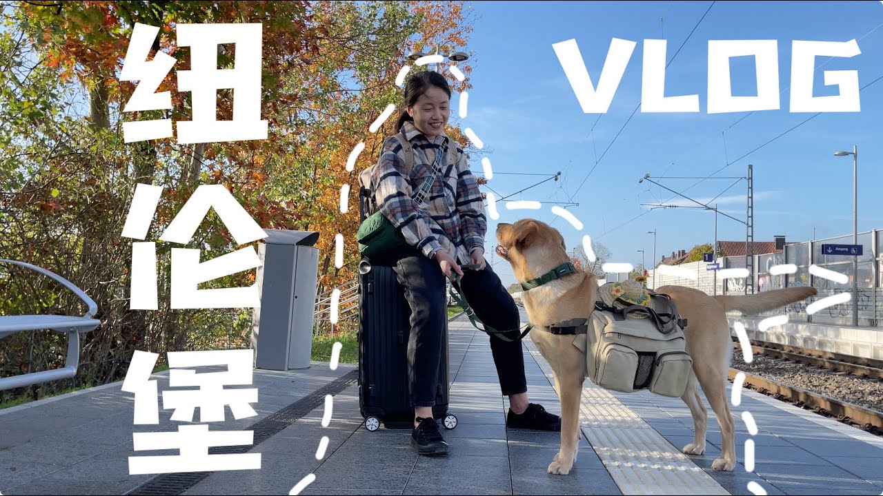 挑战一人一狗用2000欧元去🇩🇪环德旅行，所以第一站纽伦堡VLOG来啦 | 🚂环德旅行VLOG 1