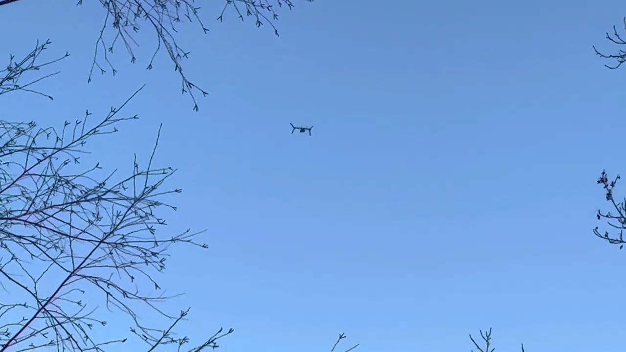 Marine Helicopter Squadron One (HMX-1) passing by