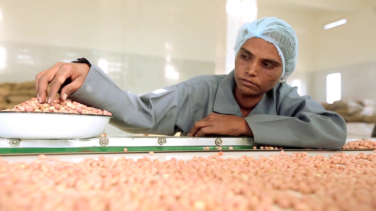 Strength of Indian Peanut groundnut Export Sector