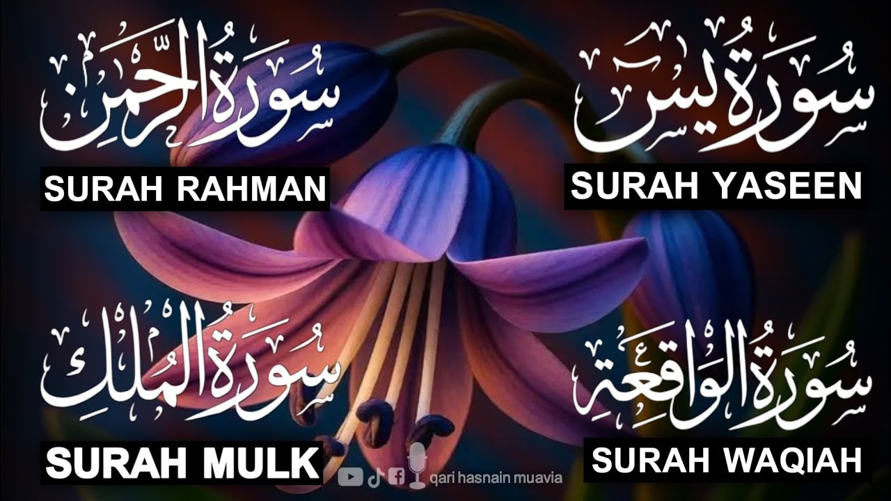 Surah Yasin ❤️ Surah Rahman , Surah Waqiah , Surah Mulk | Ep 354,یس