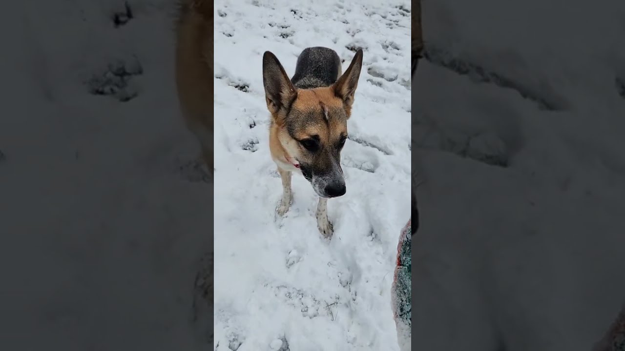 A few minutes in the snow, then chat