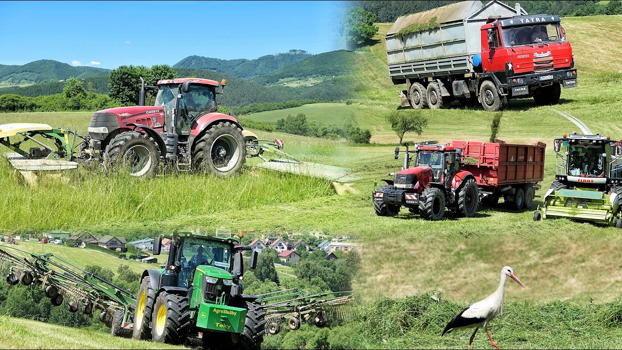 Заготовка сенажа трав на холме в СХП-Терхова Claas Jaguar 980, 2x Case IH Puma 210, 2x Tatra и JD