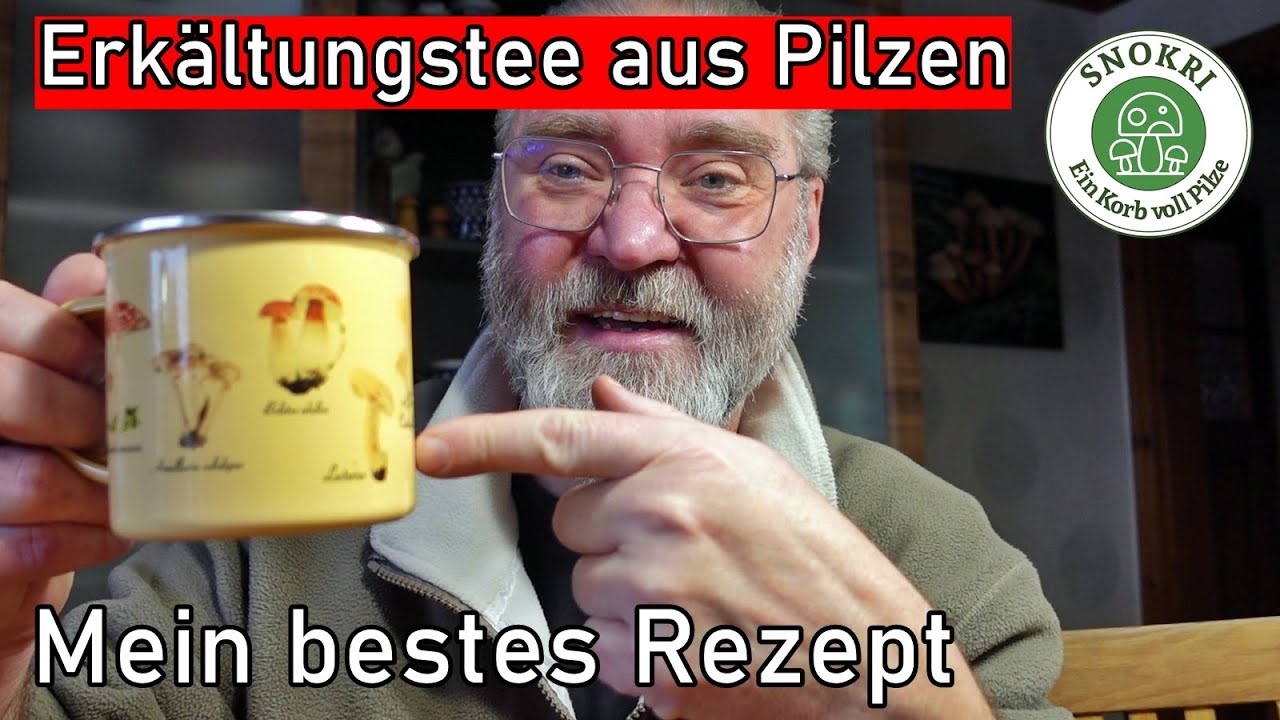 Erkältungstee aus Pilzen - Mein bestes Rezept um das Immunsystem zu stärken - Gesund in 2026