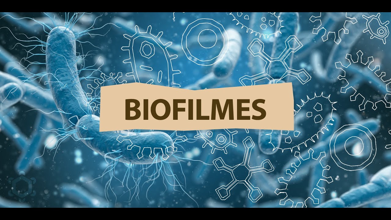 Biofilmes: o que são? quais problemas eles causam?