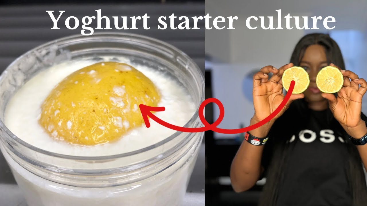 Just Put Lemon in Milk! Secret Ingredient To Making Yogurt At Home | Only 2 Ingredients