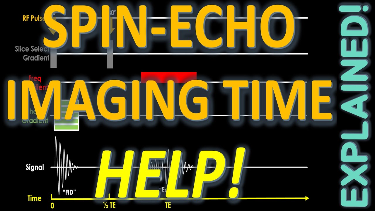 The Spin Echo Sequence (HIGH YIELD!) - MRI Pulse Sequences EXPLAINED | MRI Physics Course Lecture 9