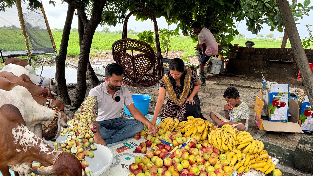 Fruits party for our all animals / sari gaayo ke liye