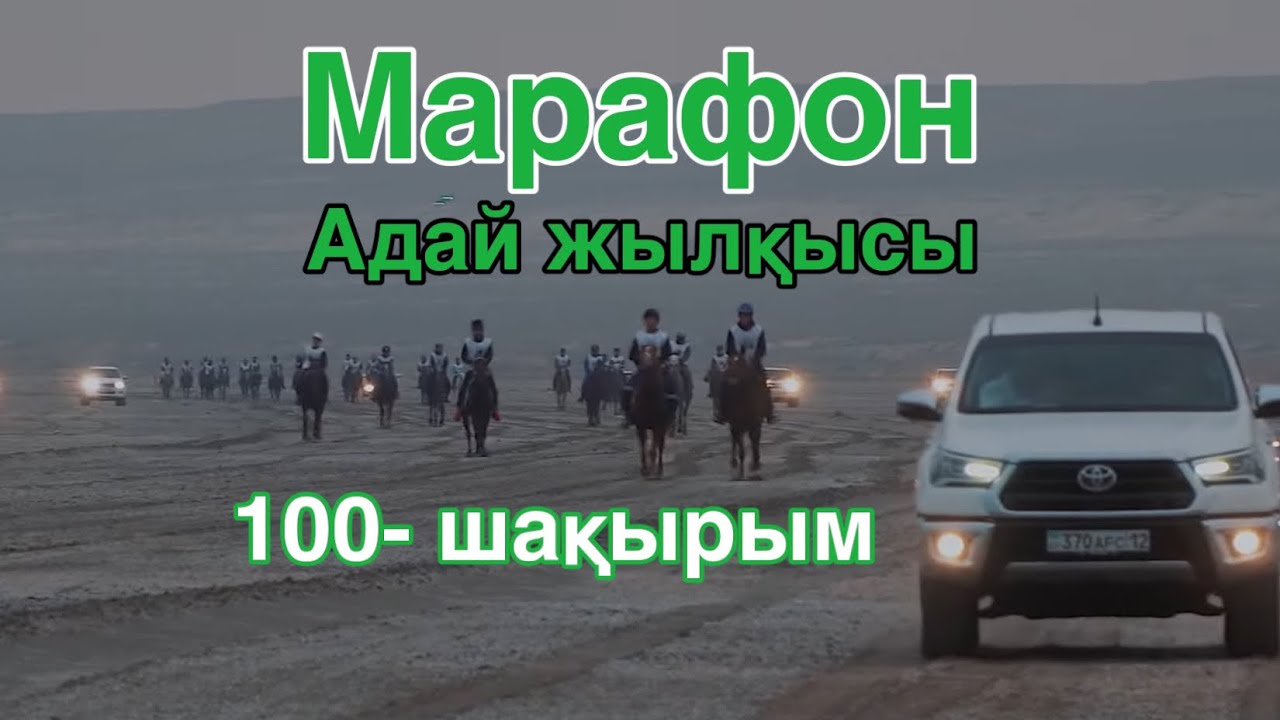Адай жылқысы. 100 шақырымдық Бәйге