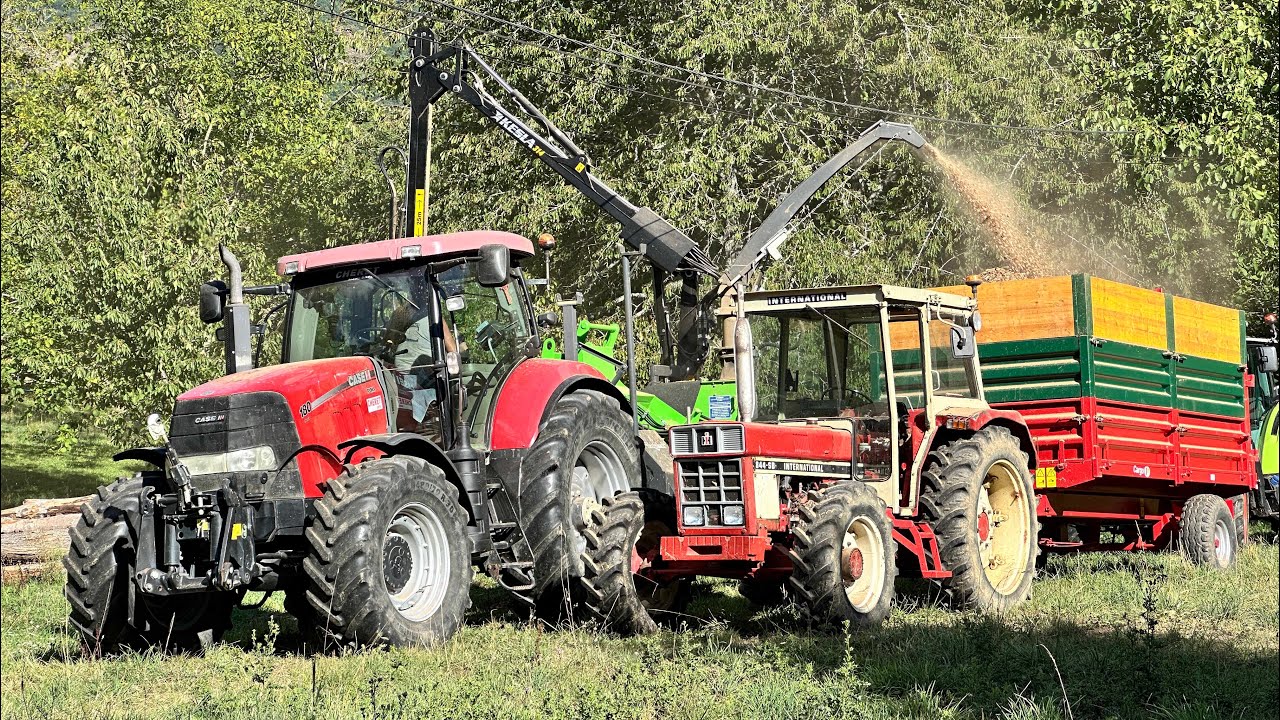 Broyage de Bois 2025 / Heizohack 8-400K / Case IH Puma 180 CVX Sounds / IH 844-SB / Claas Arion 420