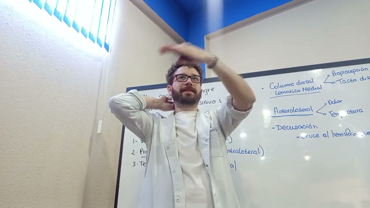 Fisio II - Resolução da atividade