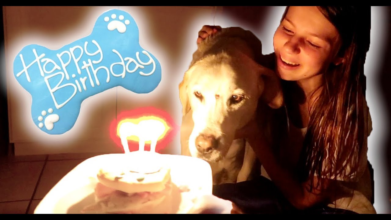 Happy Birthday Polar!! He turned 88!!