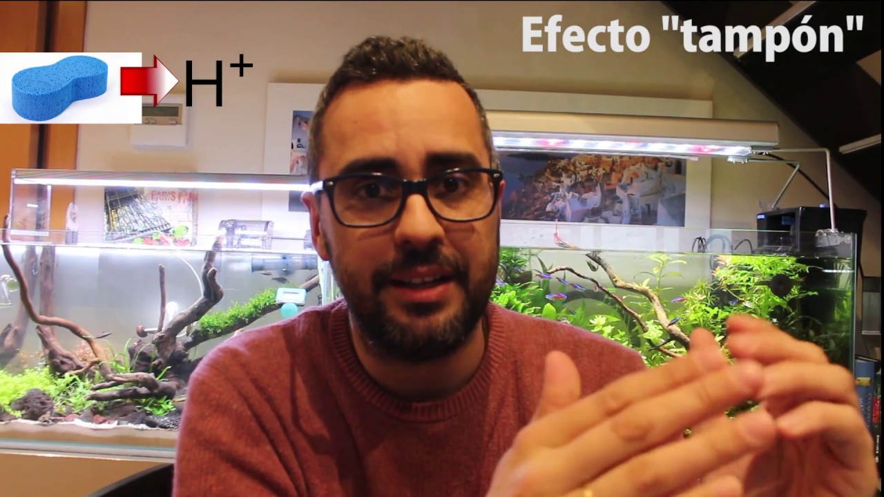 Química del agua en acuarios plantados, efecto tampón