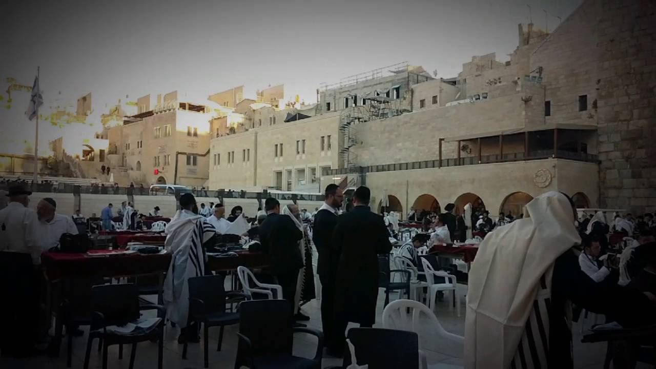 האדמו"ר מקאסוב בורו פארק שליט"א שחרית בכותל המערבי kasov rabbi bkotel