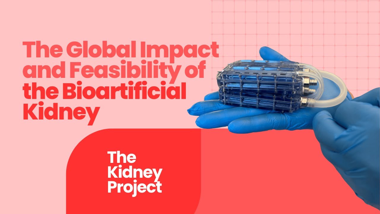 The Global Impact and Feasibility of the Bioartificial Kidney