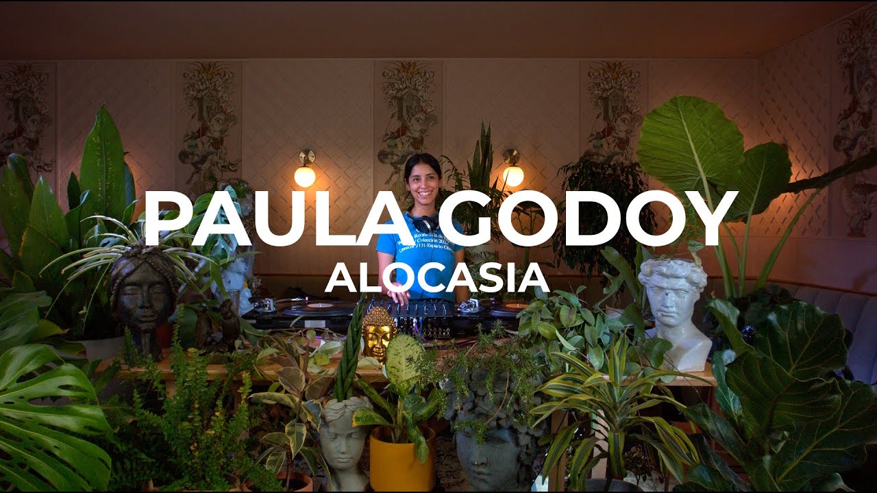Chill Smooth Jazz & Funk Selections with plants by Paula Godoy  - Alocasia TV Santiago
