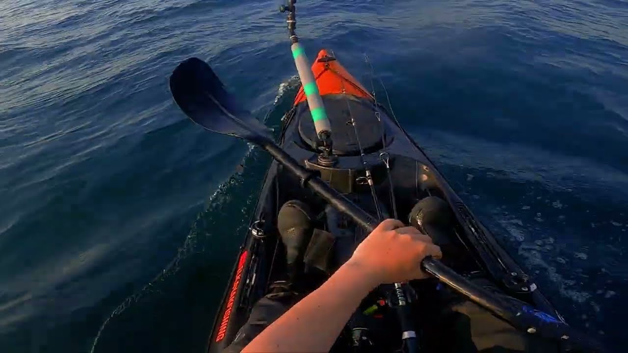 Highlights from Pembrokeshire! Kayak fishing and Diving