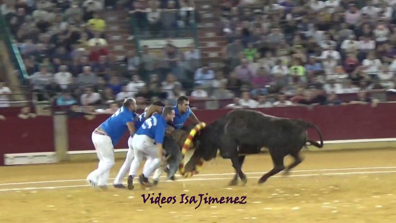 Concurso de roscaderos Zaragoza 11/10/2019 - GALLUR - HD