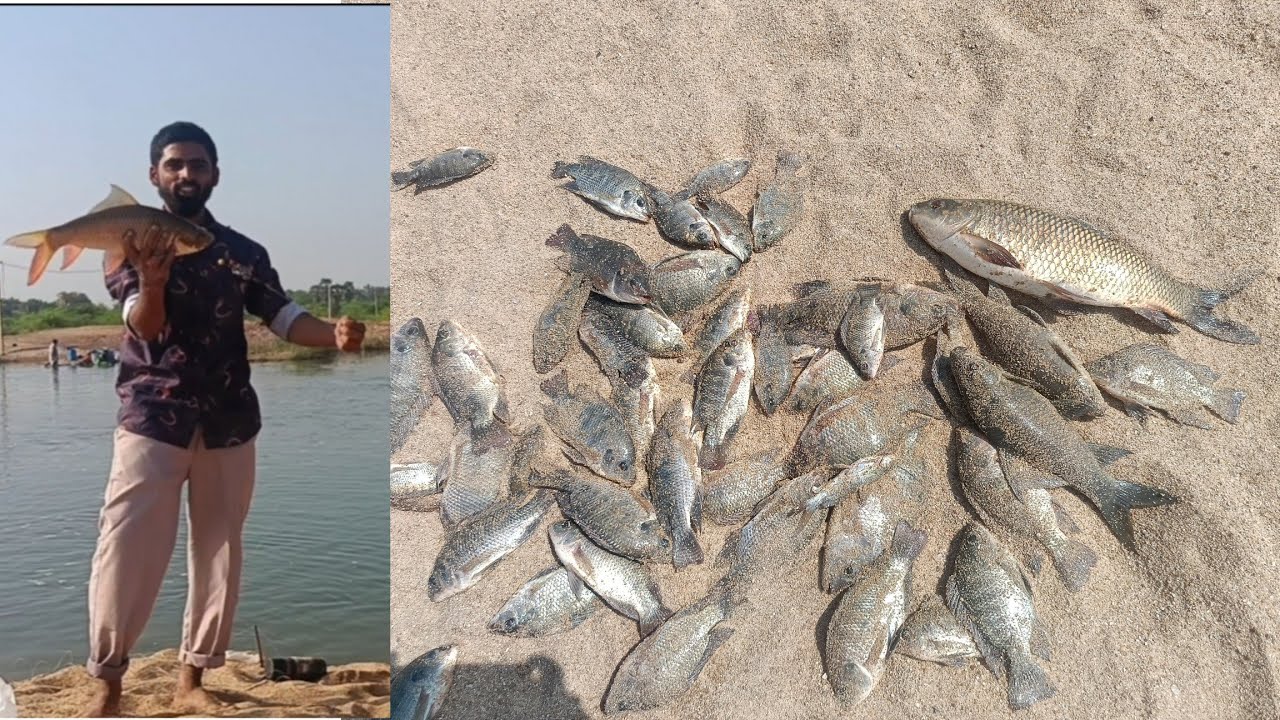 ఎన్ని సార్లు పట్టినా ఈ చేపలు నన్ను వదలట్లేదు #fishing #fishingvideo 