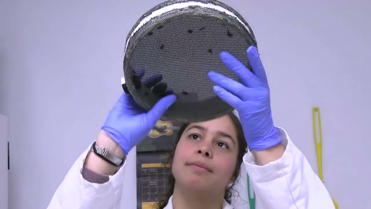 Student Research in the Biology Department