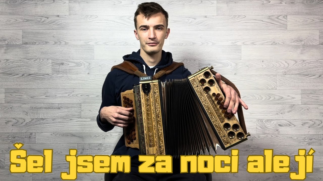 Matej Kondela - Šel jsem za noci alejí