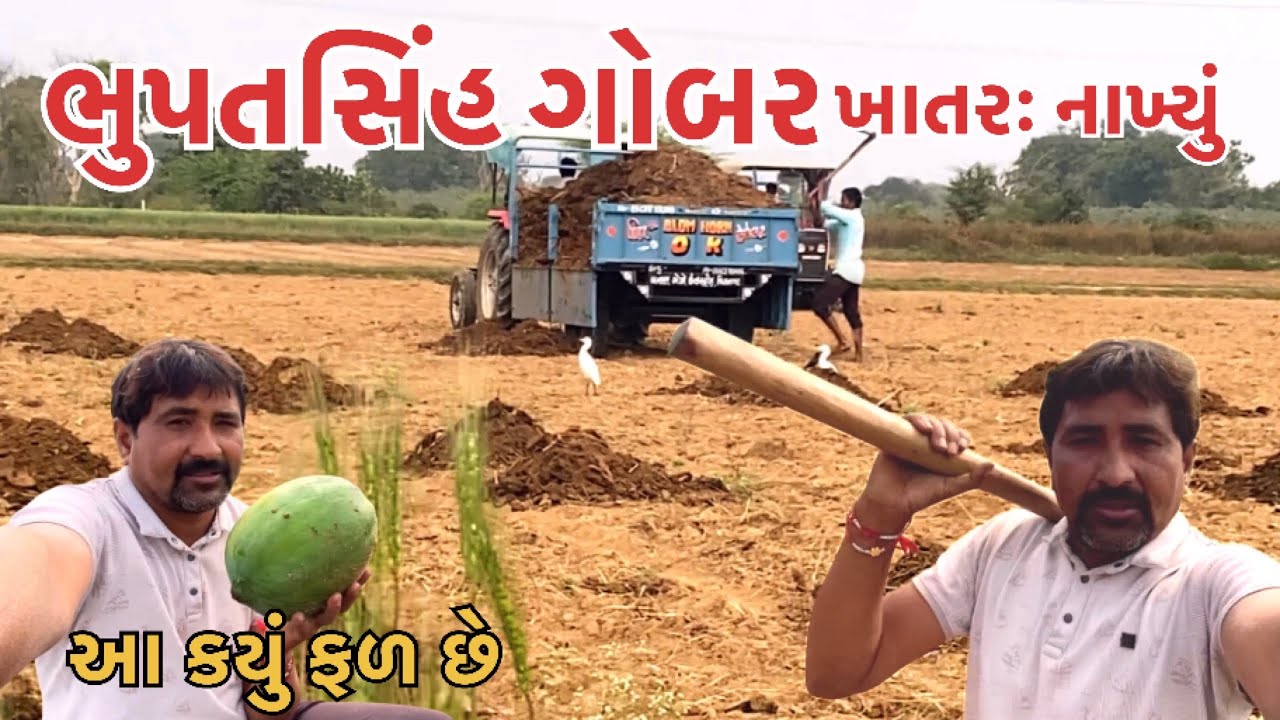 Aa Kayu Fal Che || Bhupatsinh Ae Gobar Khatar Nakhyu || Family Vlog 