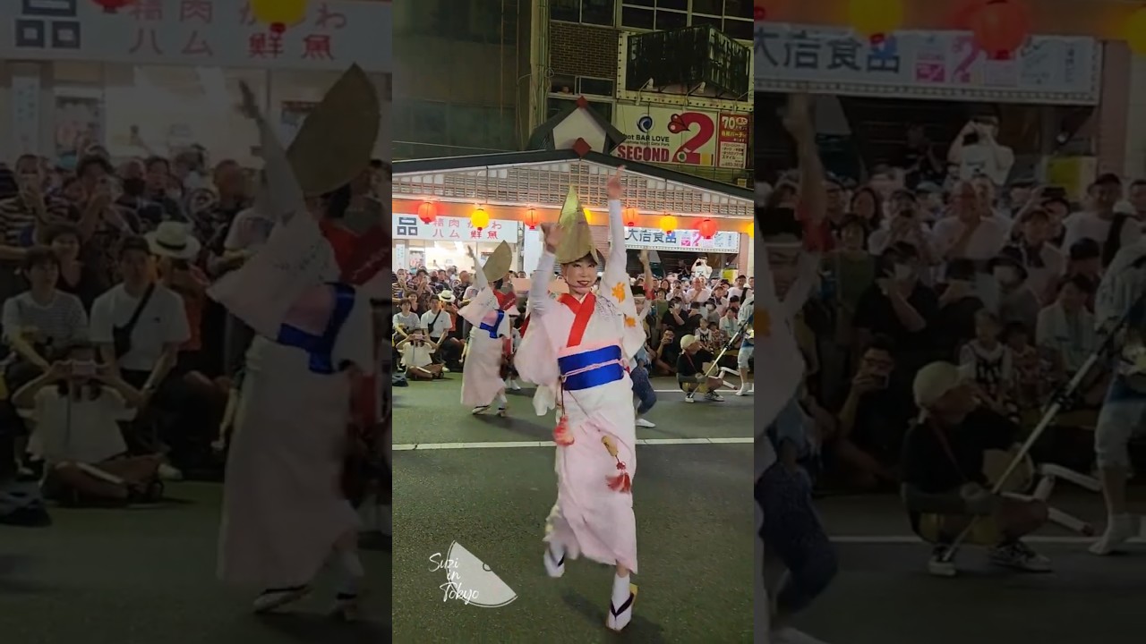 Kokesaku in Tokushima!😊 20240814 【苔作】徳島阿波おどりで