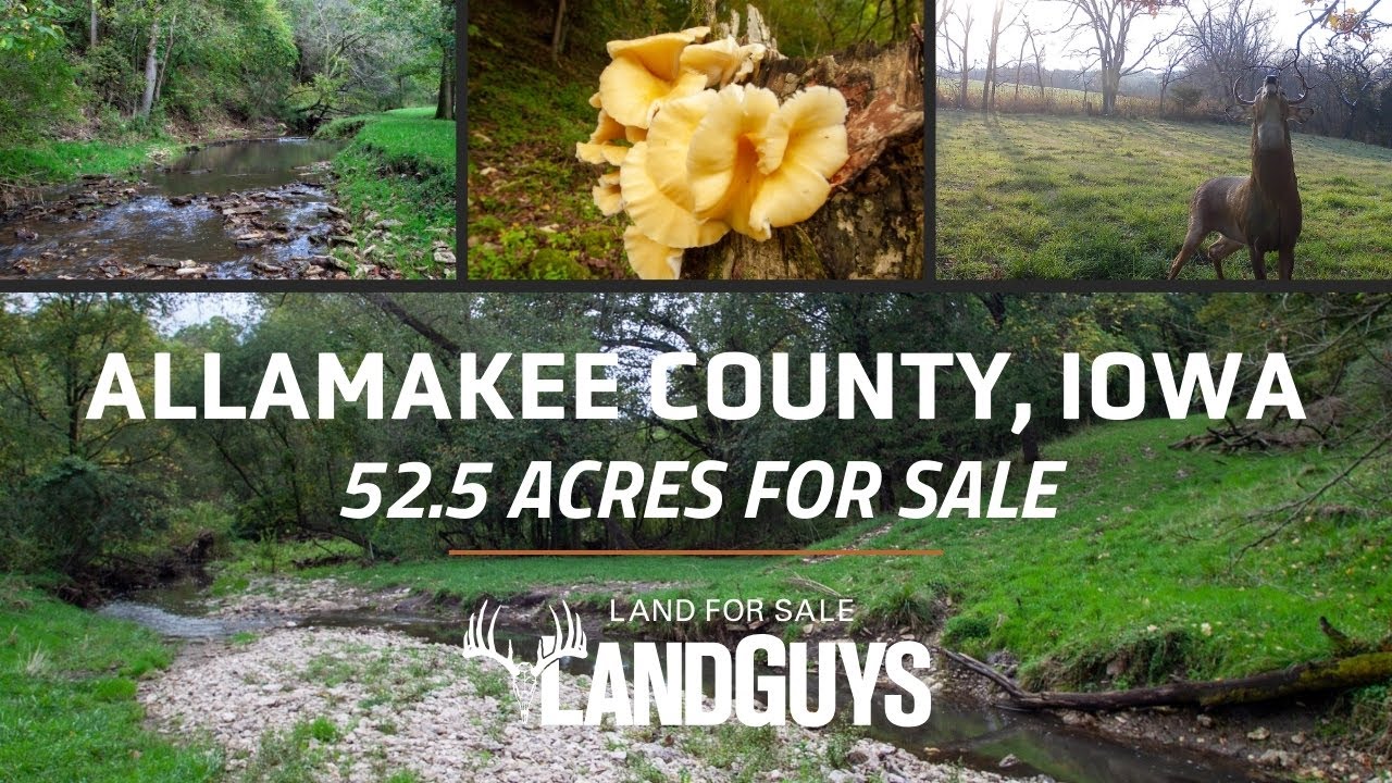 Первоклассный участок земли площадью 52 акра в штате Айова, предлагающий потенциальный доход, жив...