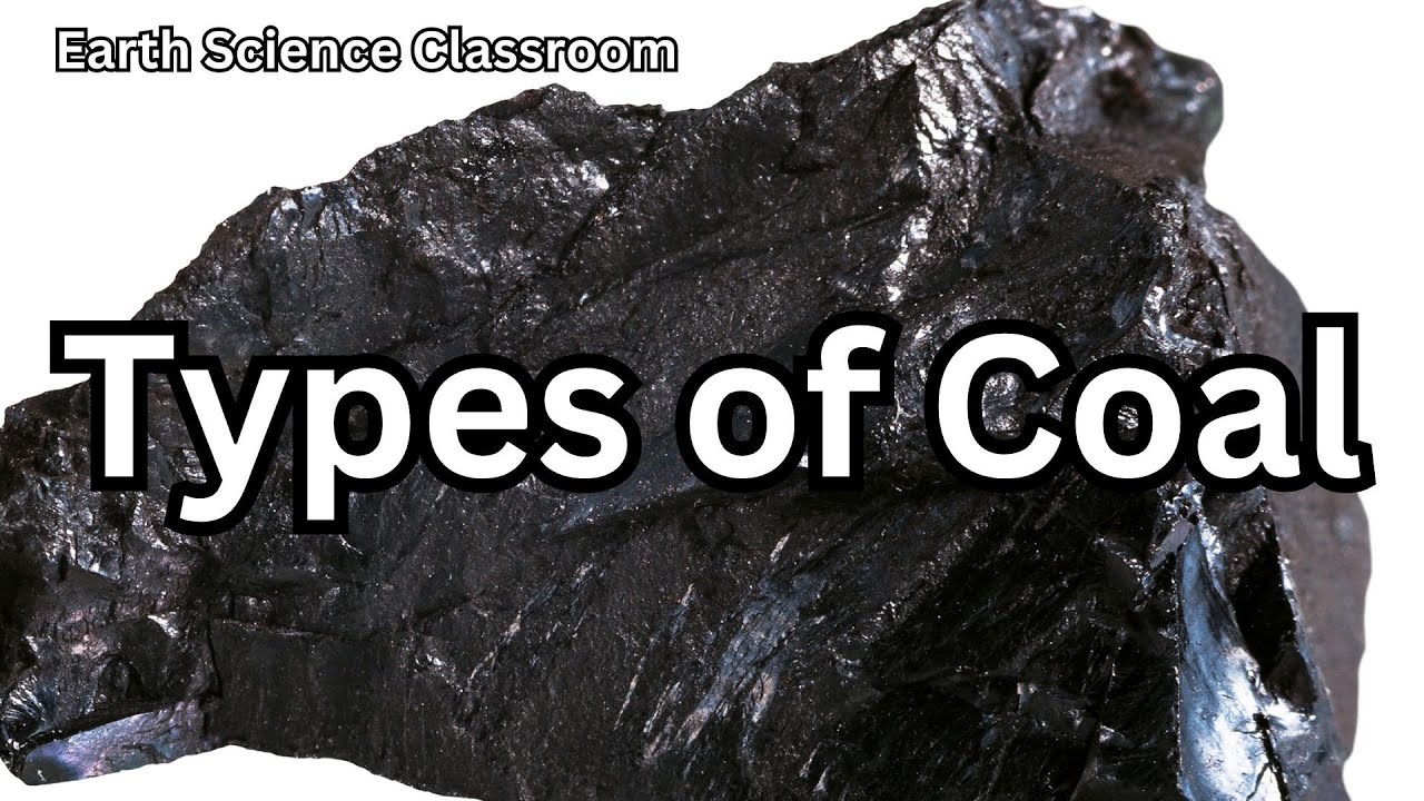 Sedimentary Rocks: Types of Coal