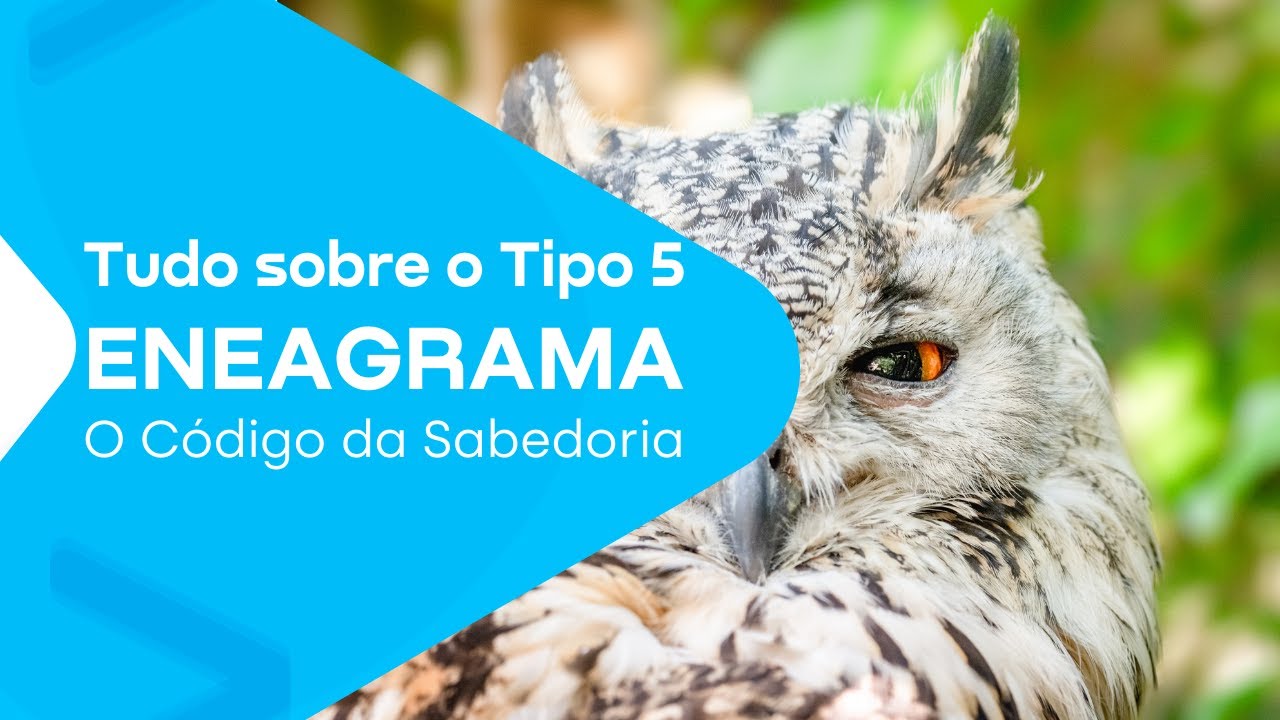 Tudo Sobre o Tipo 5 - Eneagrama - Código Interno 05