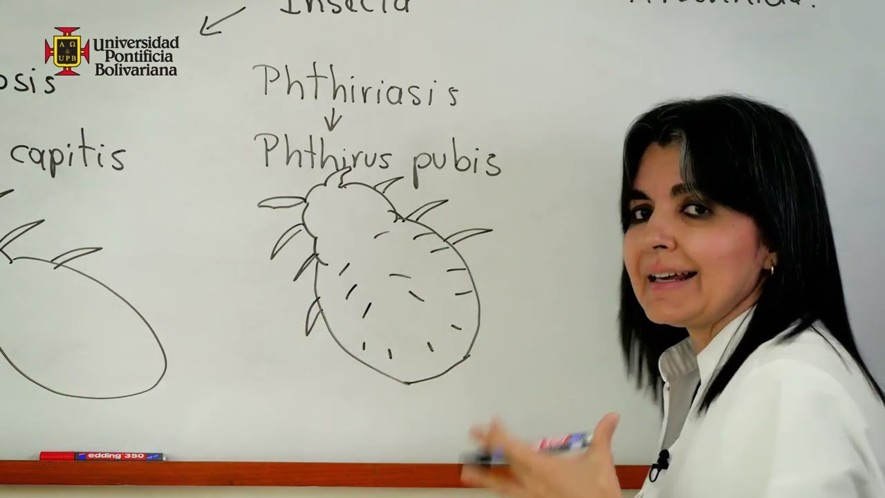 Infecciones en la piel causadas por parásitos, artrópodos y virus