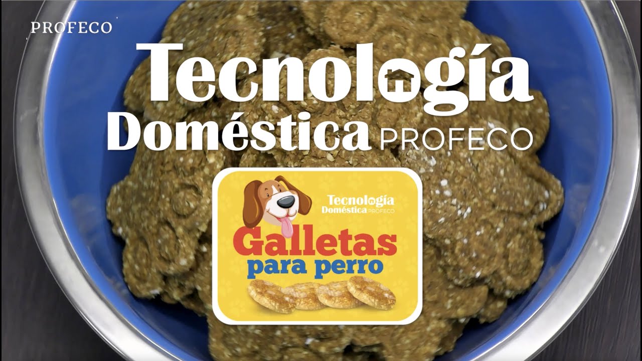 Galletas para perro | Tecnolog&iacute;a Dom&eacute;stica | Profeco