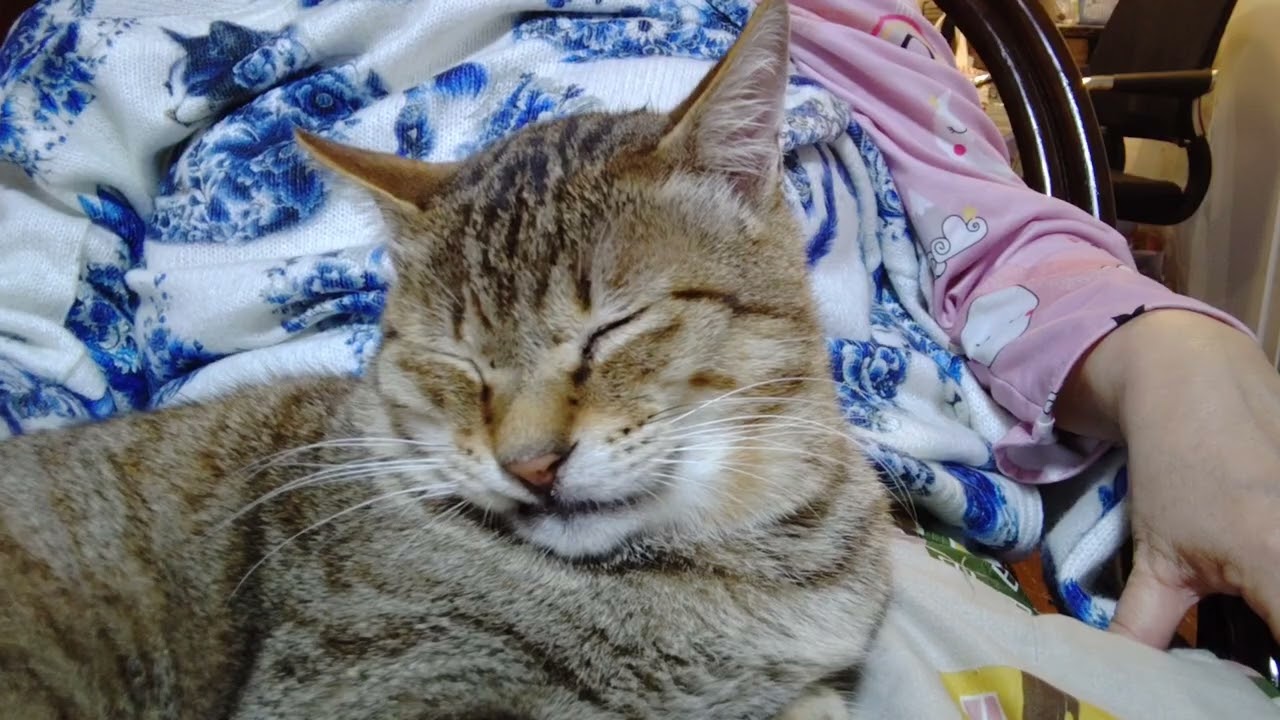お母さんは何故アリンコを、　　🐜🐜２匹も食べたのか❓️