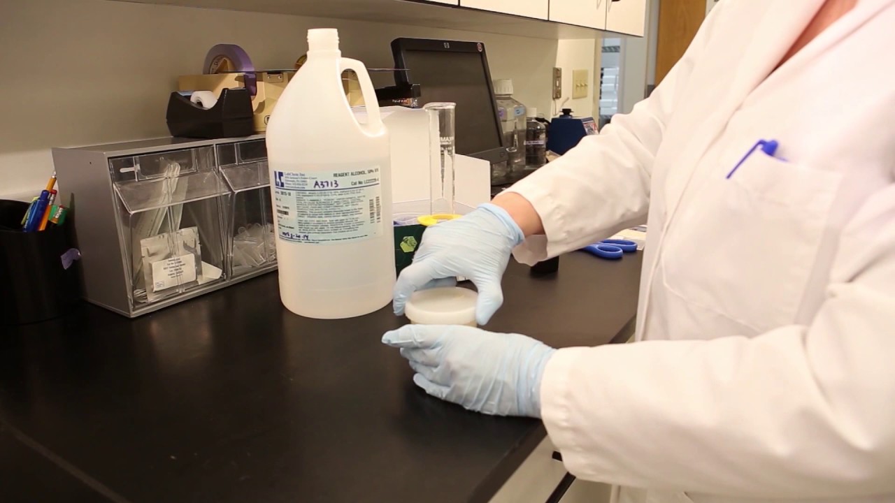 TREINAMENTO | MICOTOXINAS | Zearalenona