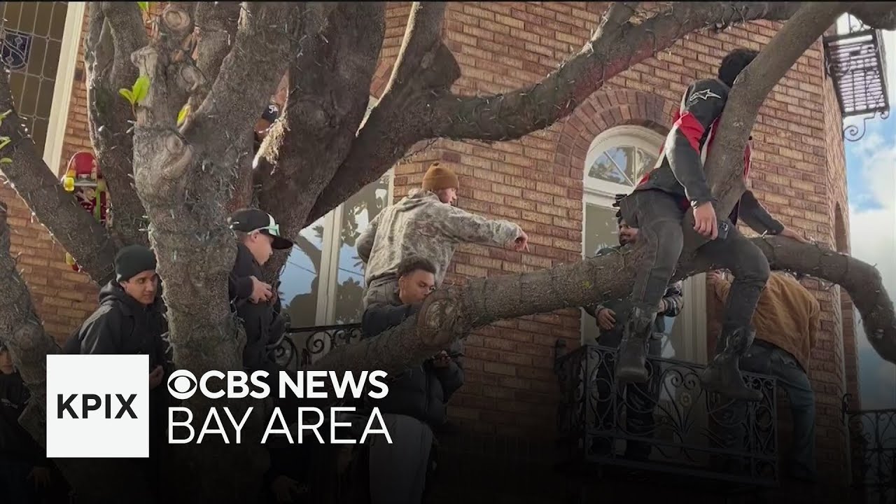 SF Marina residents voice complaints about crowd conduct during Red Bull Showrun