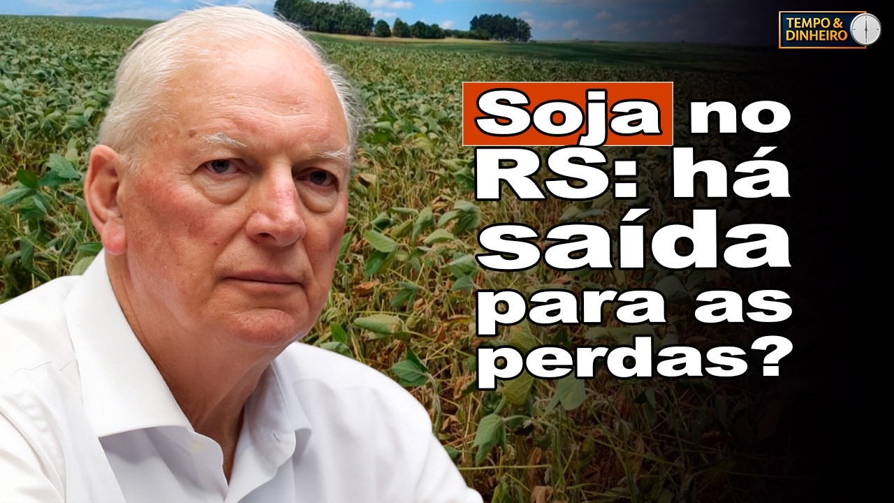 Soja com novas perdas no RS: existe solução? E a securitização? Ireneu Orth, da Aprosoja-RS comenta