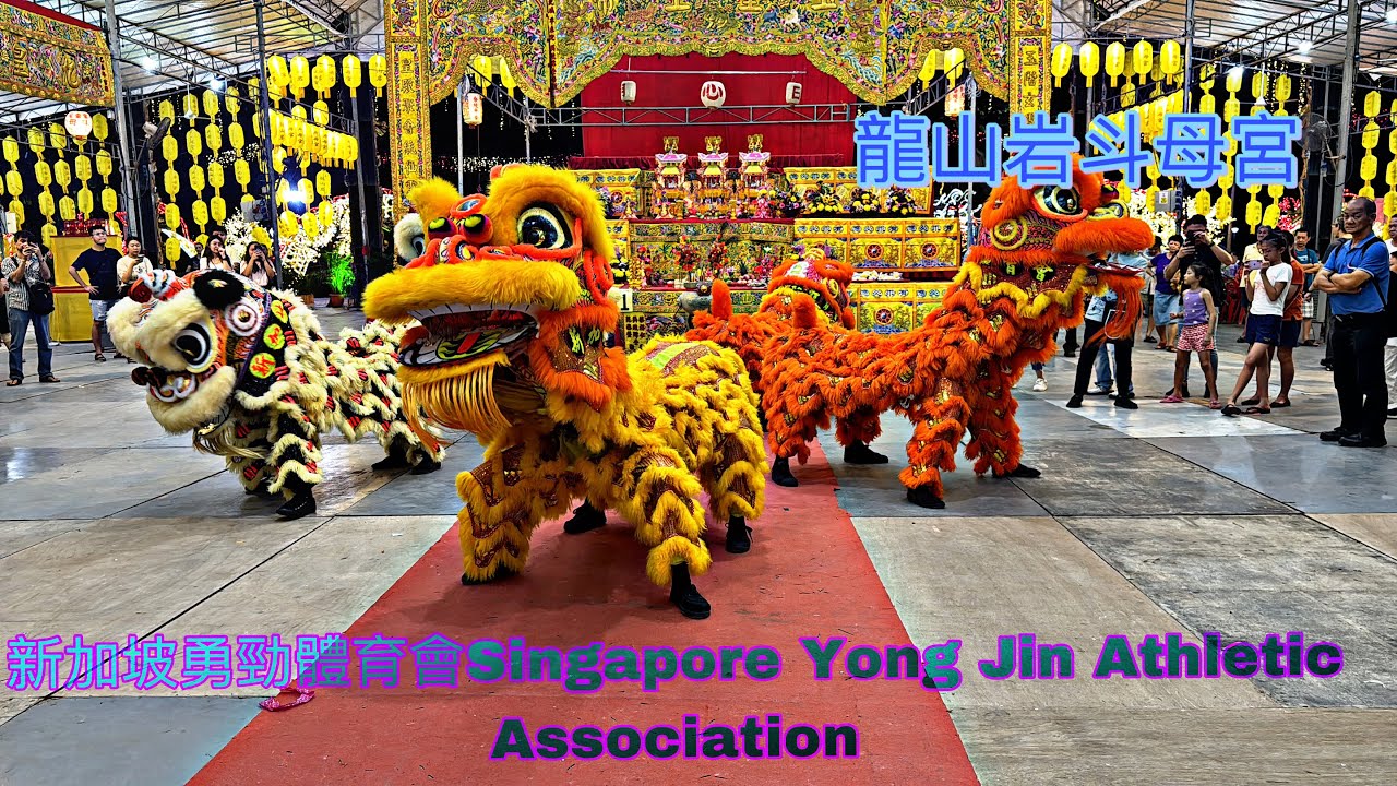 新加坡勇勁體育會 Singapore Yong Jin Athletic Association Lion Dance Cai Qing Performance @  龍山岩斗母宮