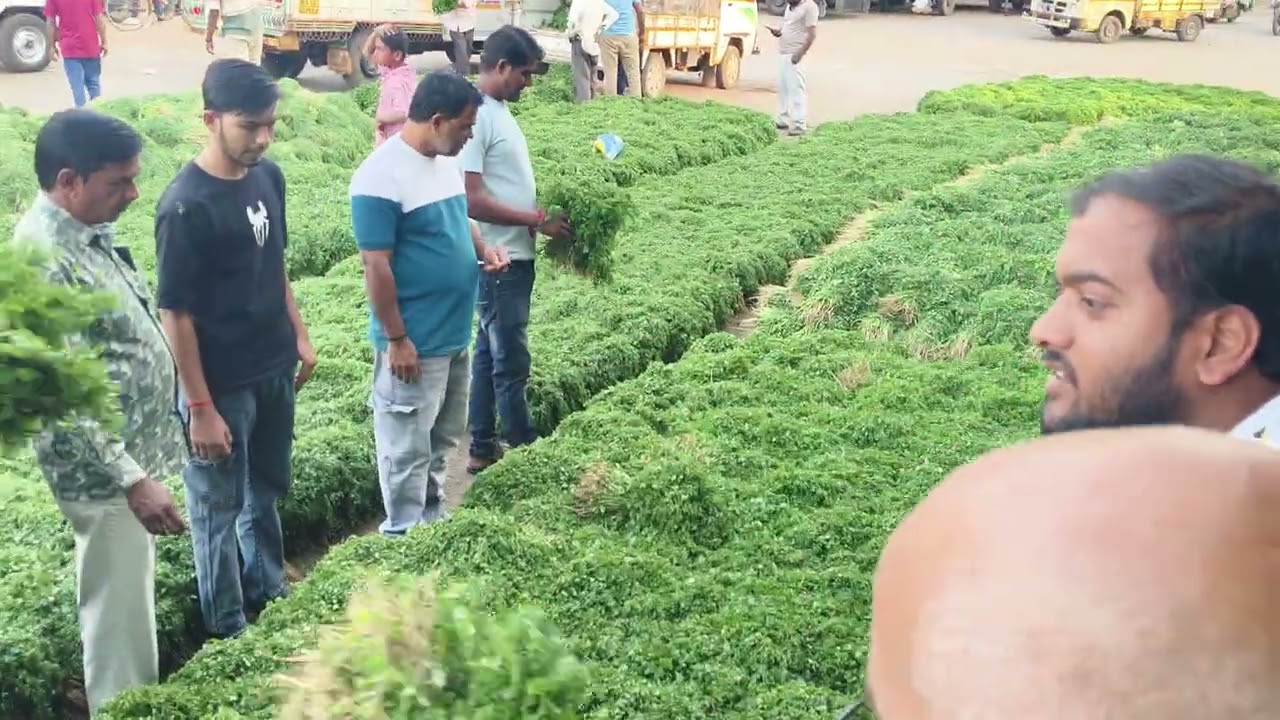 आज दि 9 मार्च नाशिक कृषि उत्पन्न बाजार समिती बाजारभाव 