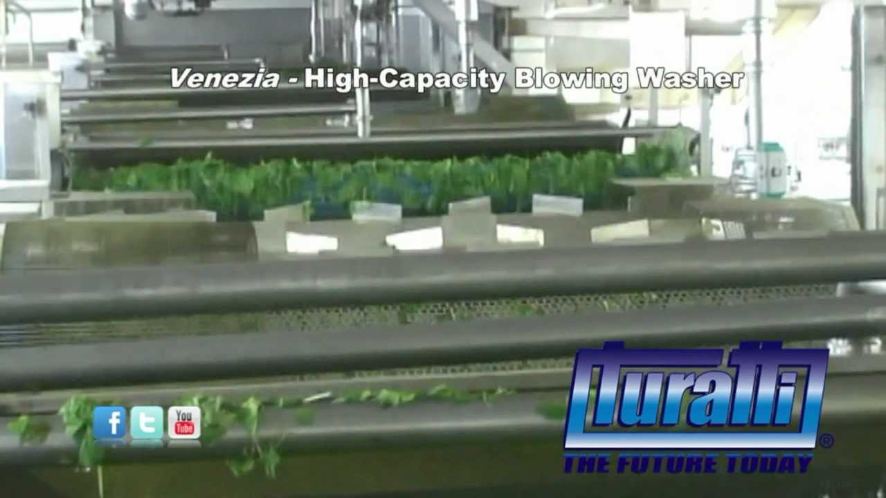 High Capacity Blowing Washer Mod. Venezia (Spinach)  by Turatti