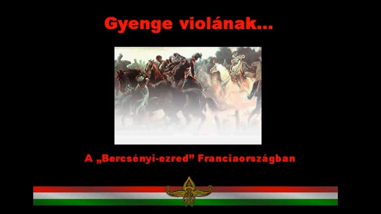 Franciaországi Bercsényi-ezred : Gyenge violának....