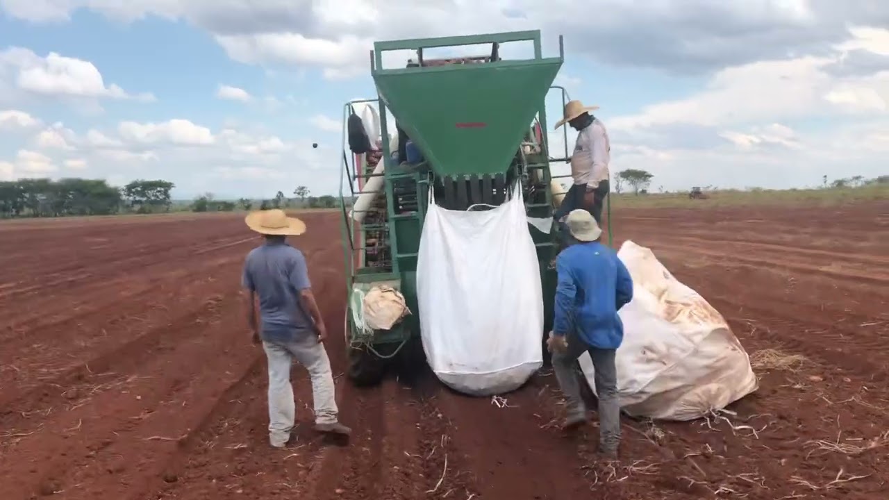 Colheitadeira de batata
