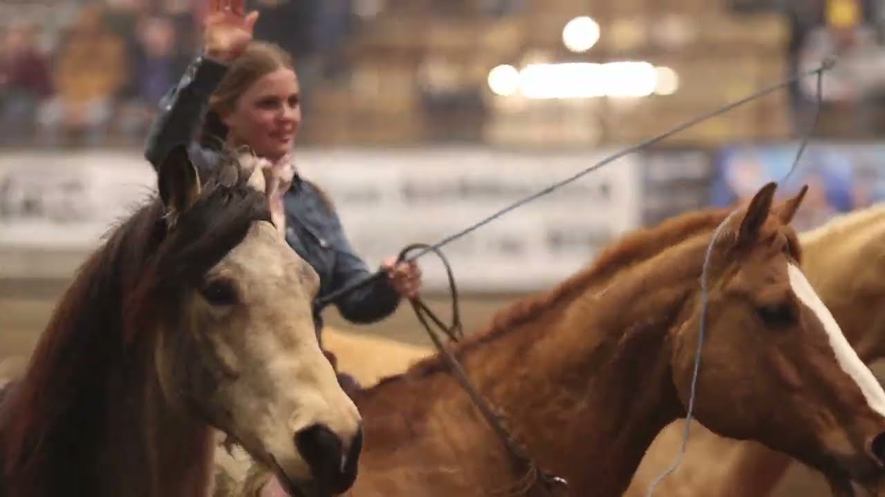 Piper Yule - full liberty act NDWS 2023 - she’s only 12 years old! - #warbridle #libertyhorse