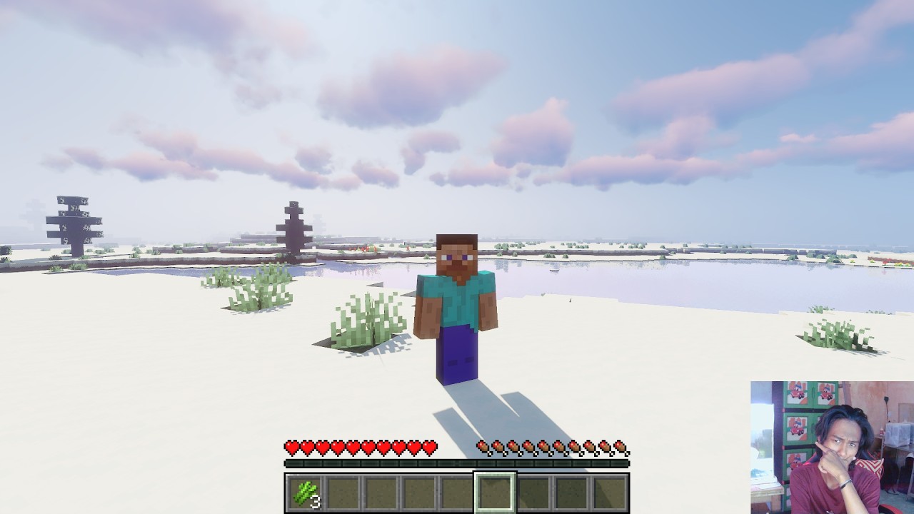 Day 7 Minecraft Survival