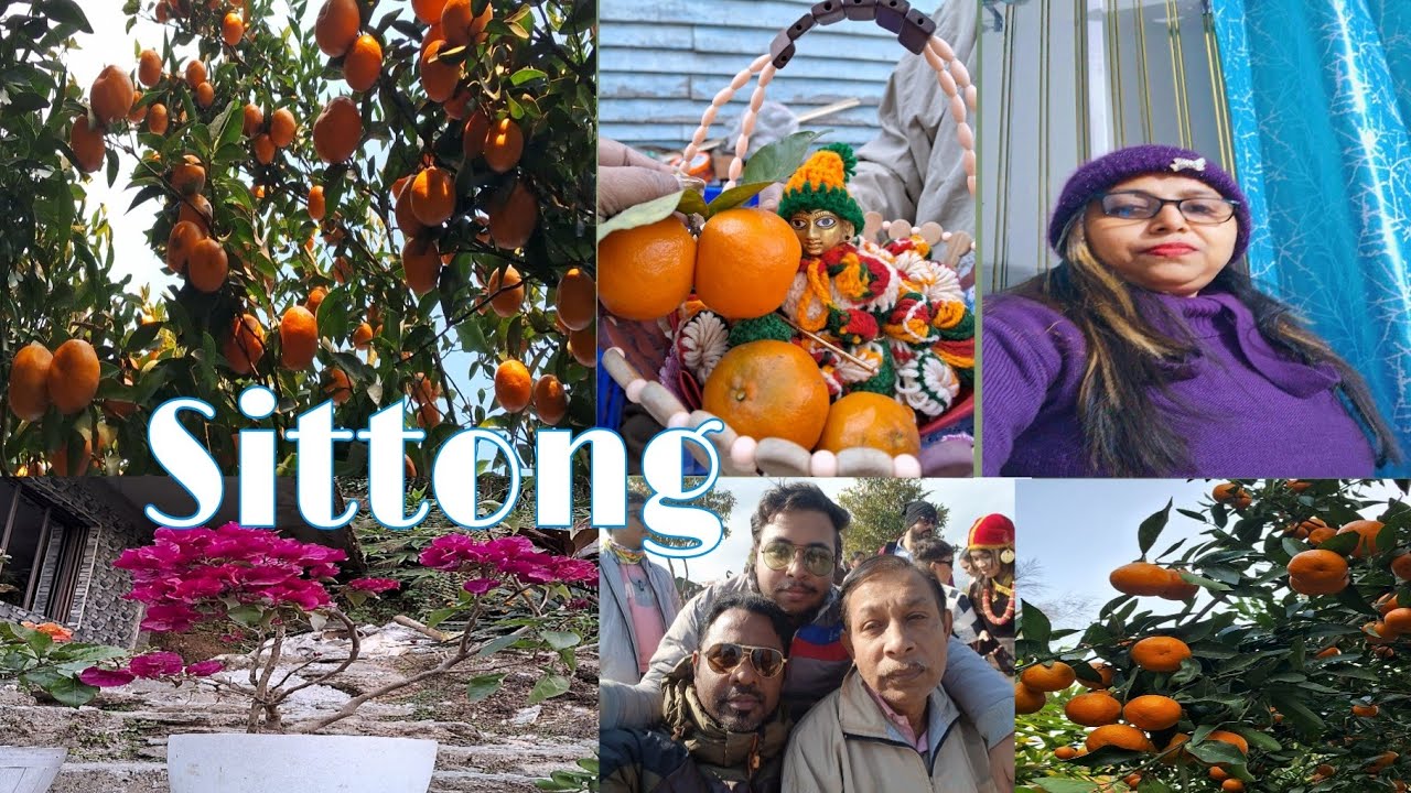 পাহাড়ের খুব সুন্দর জায়গা সিটং , Offbeat Destination Sittong 