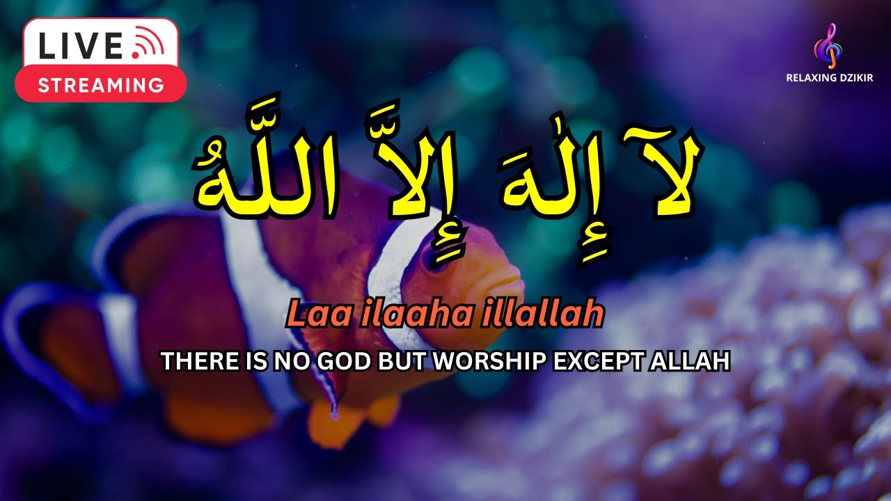 LAILAHAILLALLAH: Sleep Dzikir For Reduce stress #7