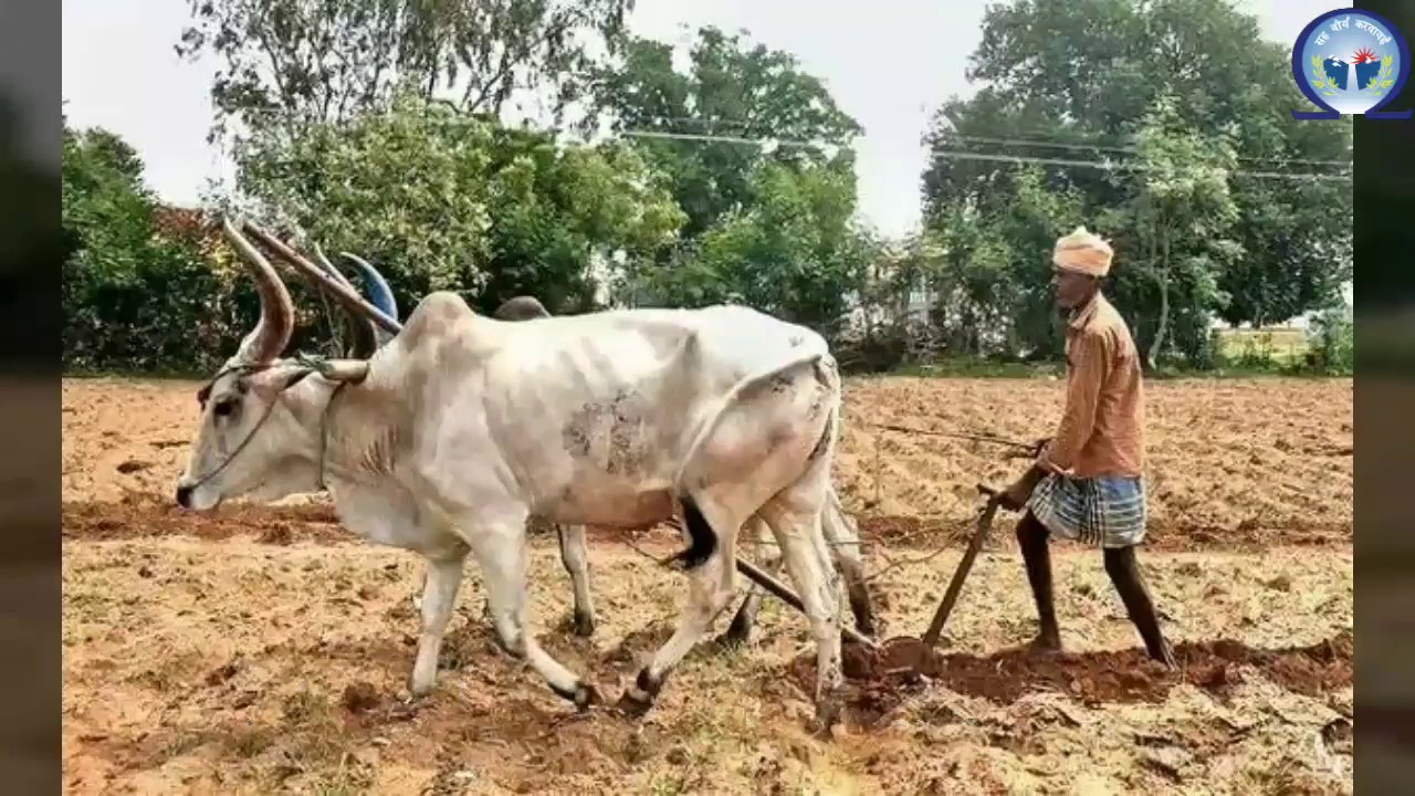 LMOIS | ISA | 2018-19 | Sustainable Agriculture | From Soil to Table