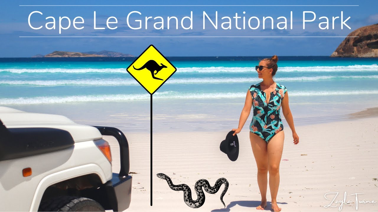 CAPE LE GRAND NATIONAL PARK, ESPERANCE | Kangaroos came to camp! (and a snake..) |