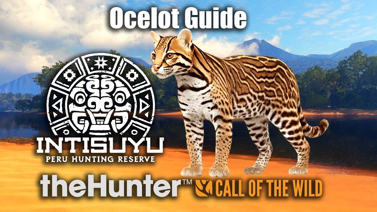 Гайд по оцелотам в Перу &mdash; Intisuyu &mdash; theHunter: Call of the Wild